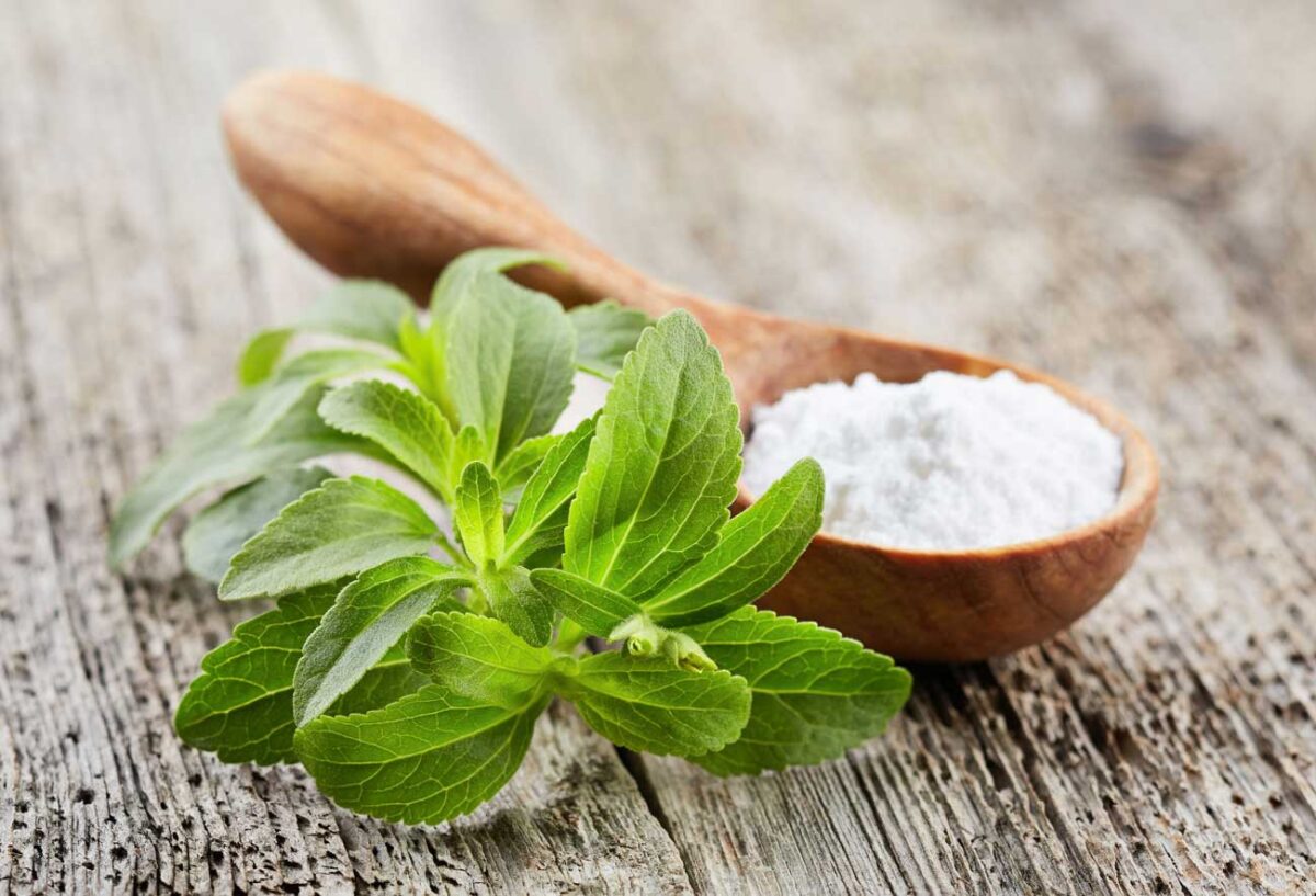 stevia plant next to stevia extract